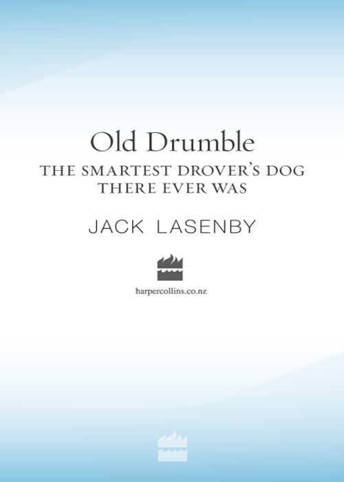 Old Drumble (2008) by Jack Lasenby