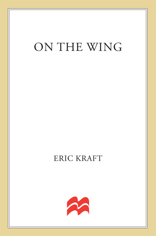 On the Wing by Eric Kraft