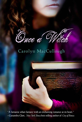 Once a Witch (2009) by Carolyn MacCullough