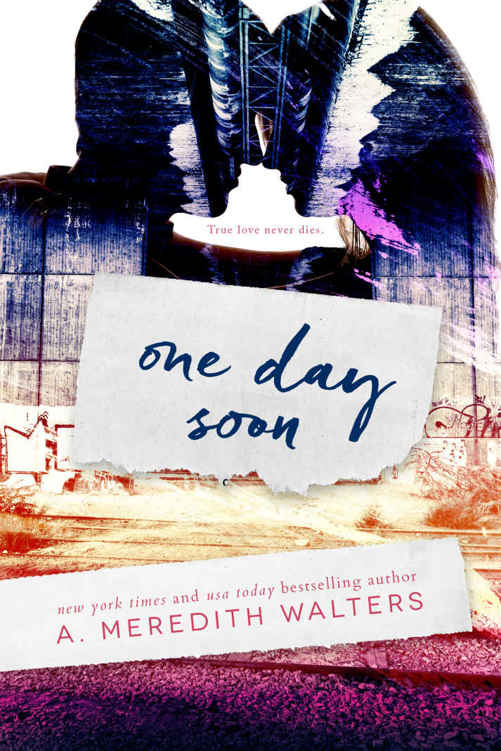 One Day Soon by A. Meredith Walters