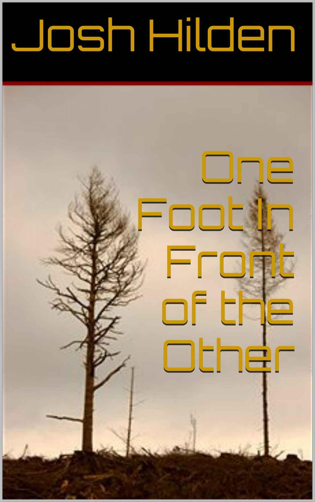 One Foot In Front of the Other (Free Story Friday) by Hilden, Josh