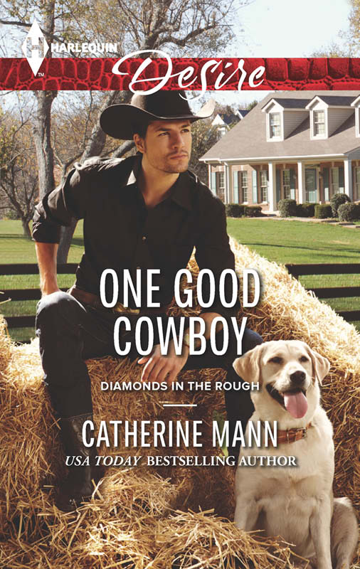 One Good Cowboy (2014) by Catherine Mann