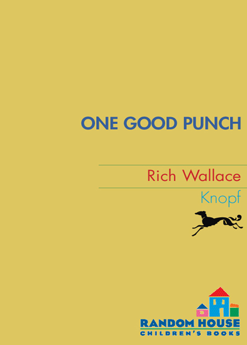 One Good Punch (2007) by Rich Wallace