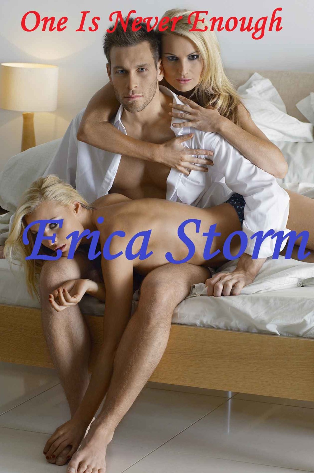 One Is Never Enough by Erica Storm