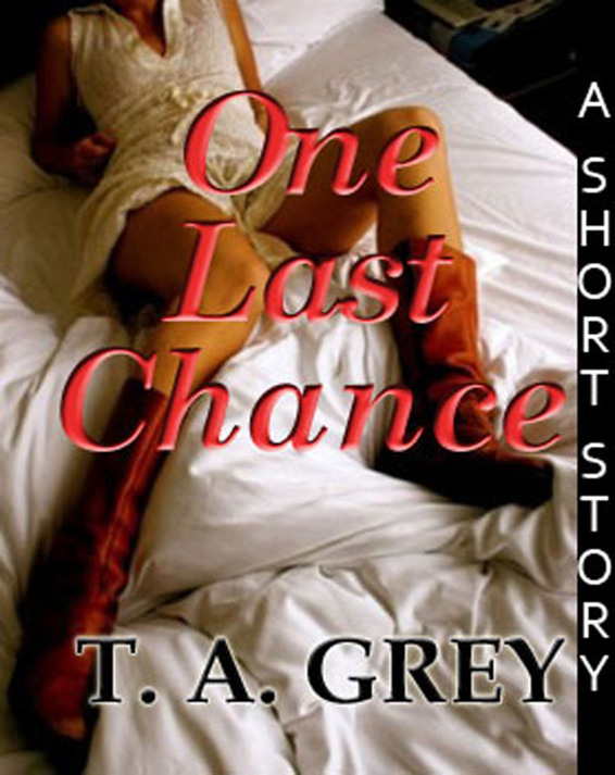 One Last Chance by Grey, T. A.