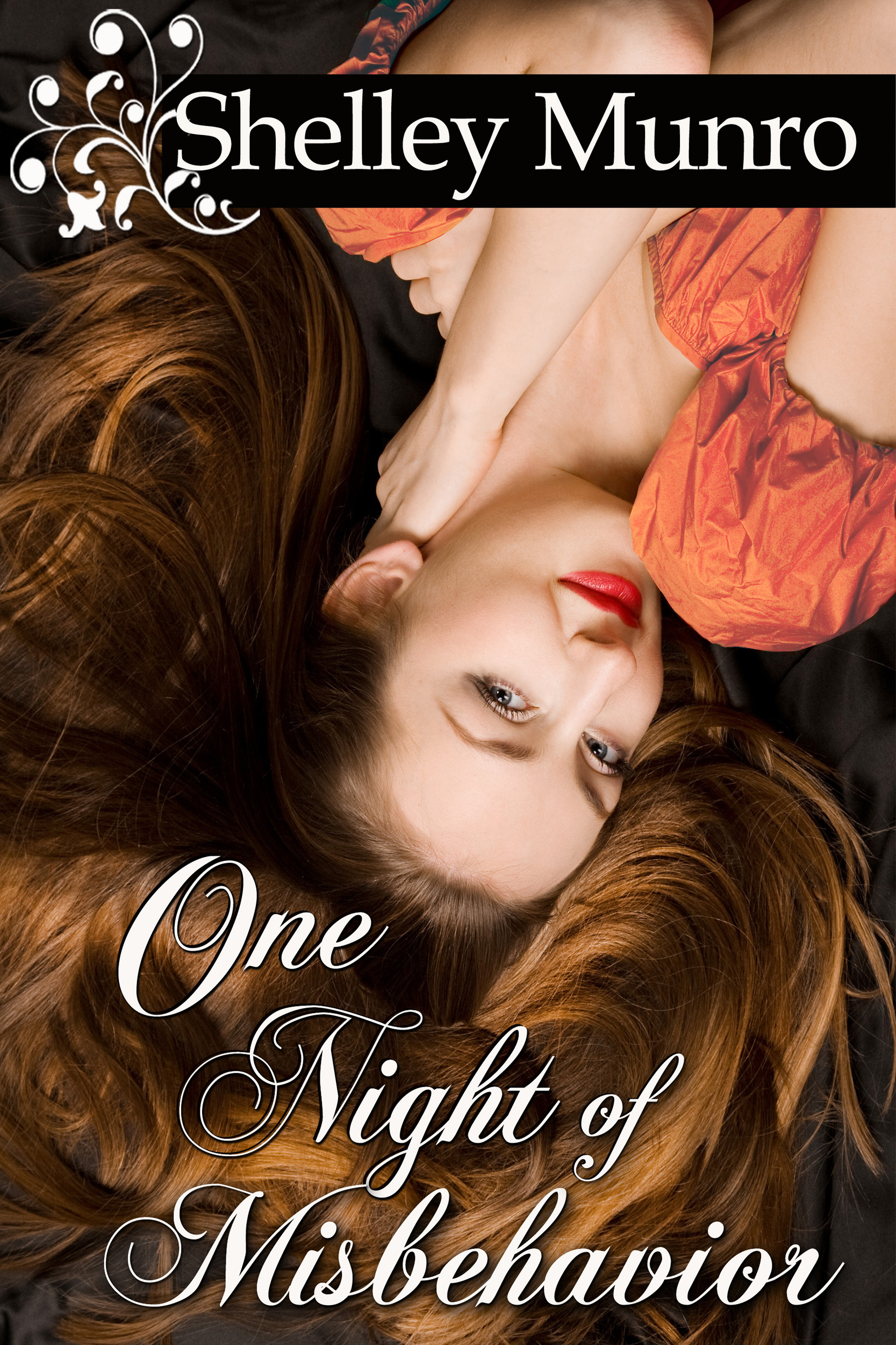 One Night of Misbehavior (2013) by Shelley Munro