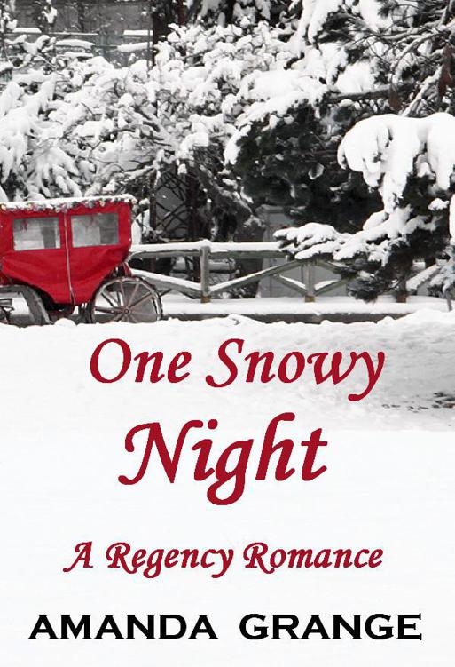 One Snowy Night by Grange, Amanda