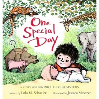 One Special Day: A Story for Big Brothers and Sisters (2012) by Lola M. Schaefer