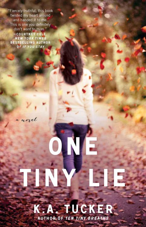 One Tiny Lie: A Novel by K. A. Tucker