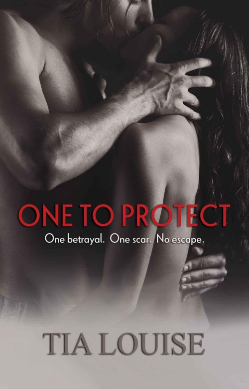 One to Protect (One to Hold Book 3)