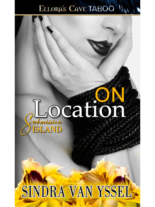 OnLocation (2013) by Sindra van Yssel