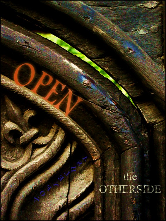 Open by Ashley Fox