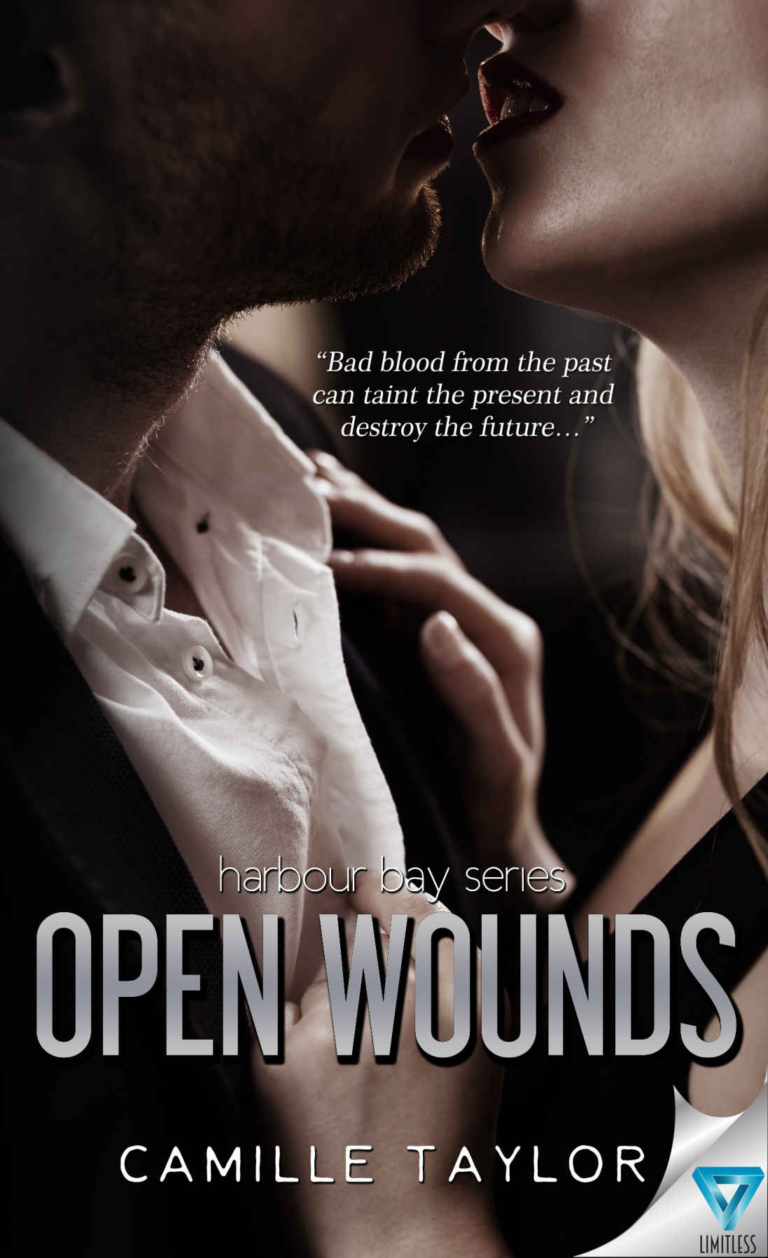 Open Wounds by Camille Taylor