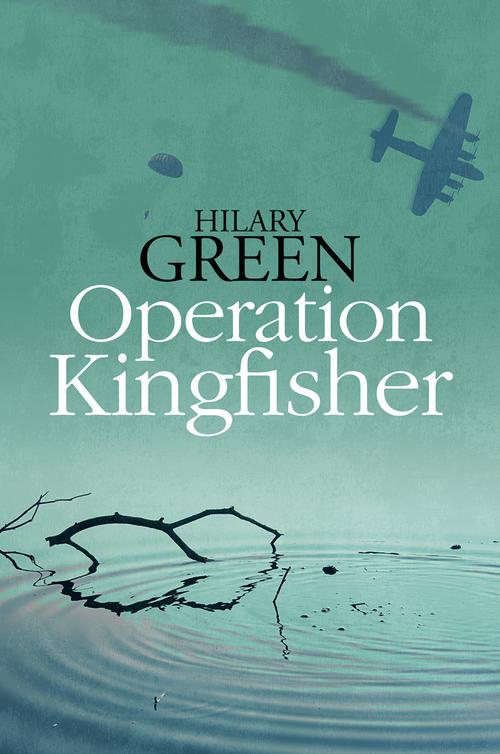 Operation Kingfisher (2013) by Hilary Green