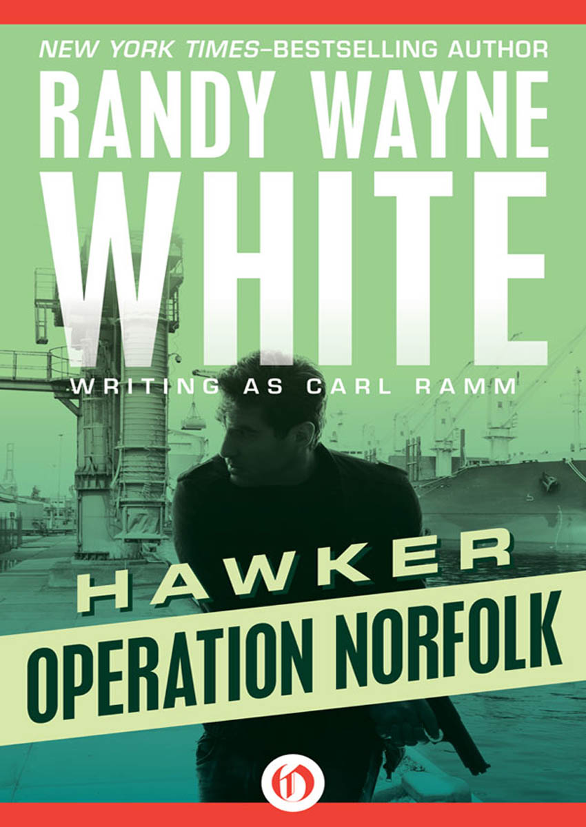 Operation Norfolk by Randy Wayne White