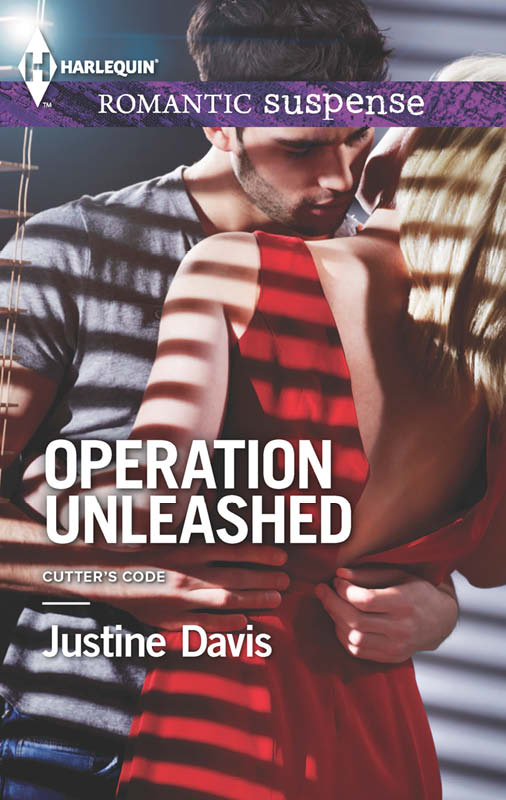 Operation Unleashed (2014) by Justine Davis