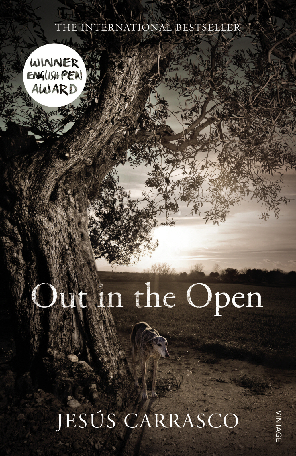 Out in the Open (2014) by Jesús Carrasco