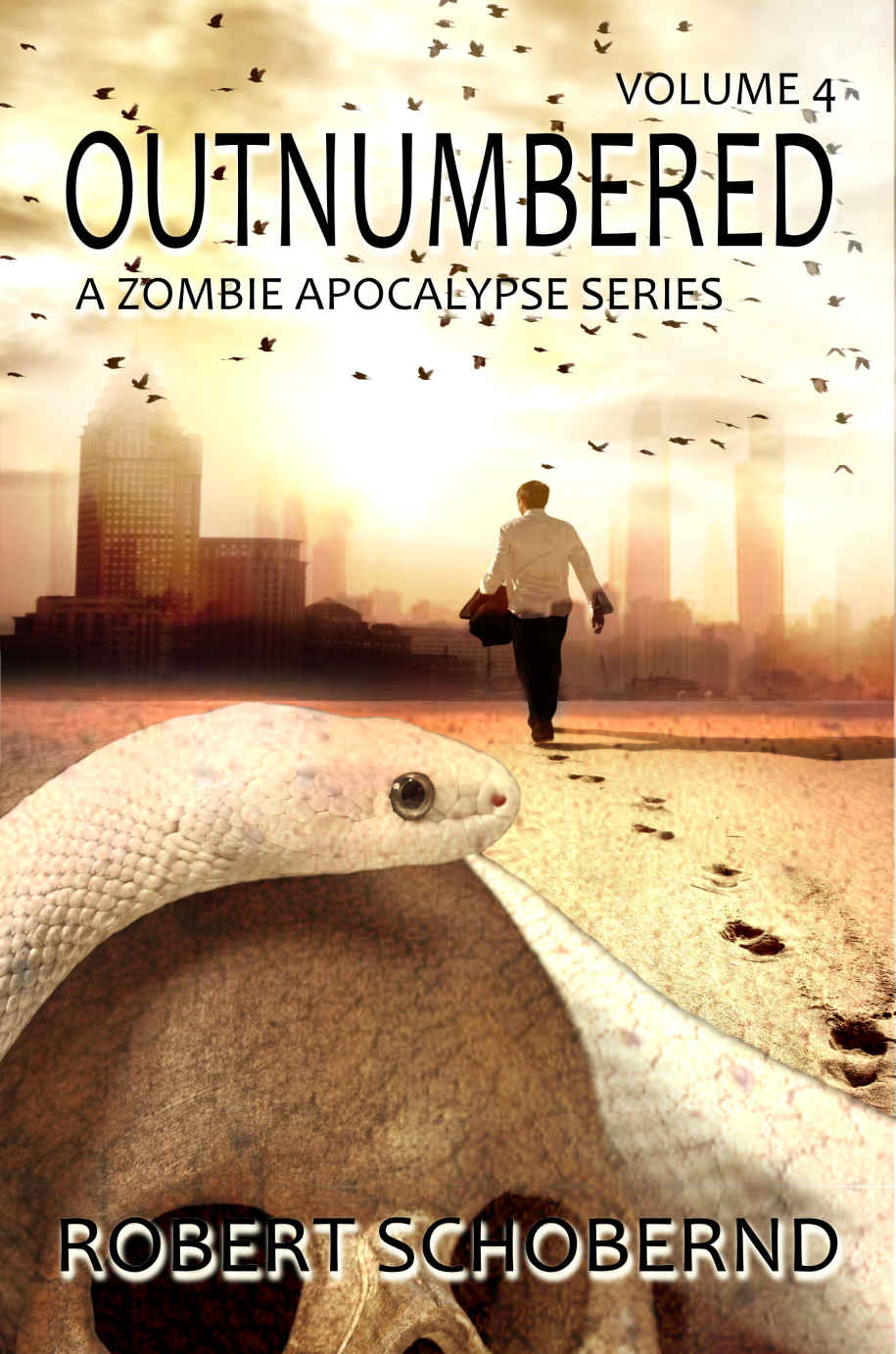 OUTNUMBERED volume 4: A Zombie Apocalypse Series