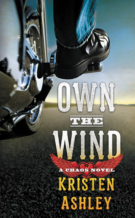 Own the Wind by Ashley, Kristen