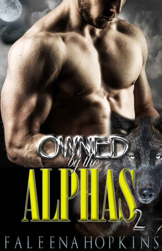 Owned By The Alphas: Part Two