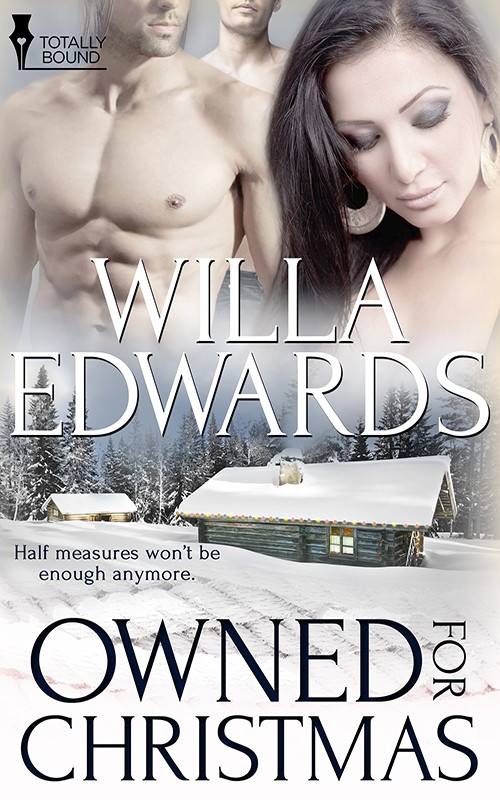 Owned for Christmas (2014) by Willa Edwards