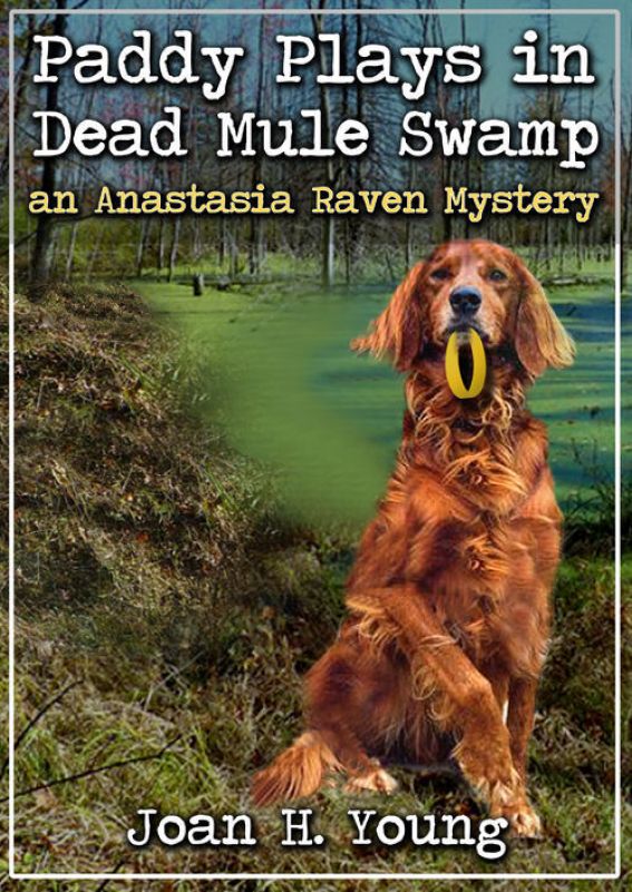 Paddy Plays in Dead Mule Swamp by Joan H. Young