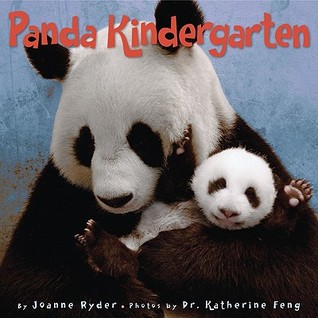 Panda Kindergarten (2009) by Joanne Ryder