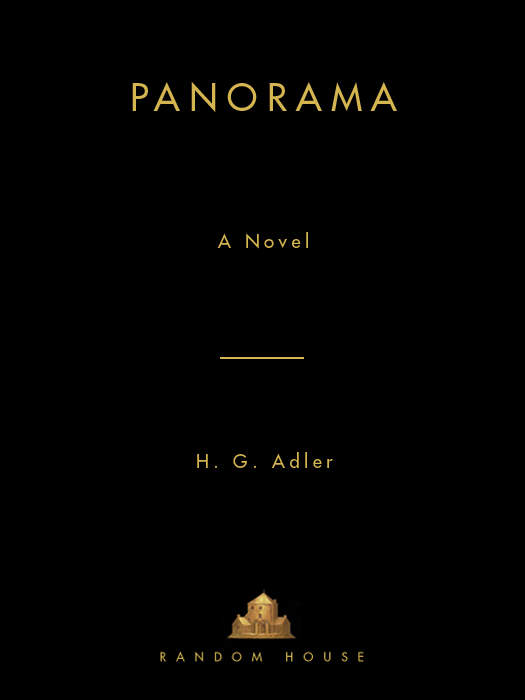 Panorama (2011) by H. G. Adler