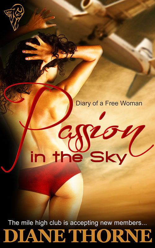 Passion in the Sky (2013)