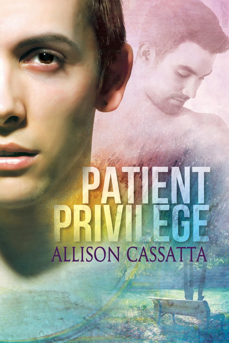 Patient Privilege (2012) by Allison Cassatta