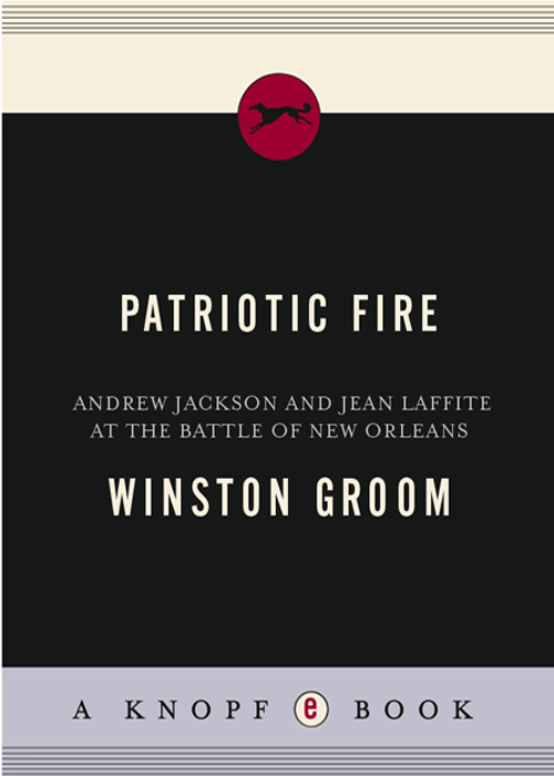 Patriotic Fire (2006) by Winston Groom