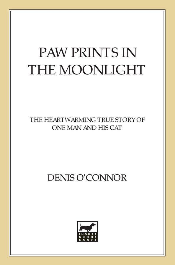 Paw Prints in the Moonlight (2012) by Denis O'Connor