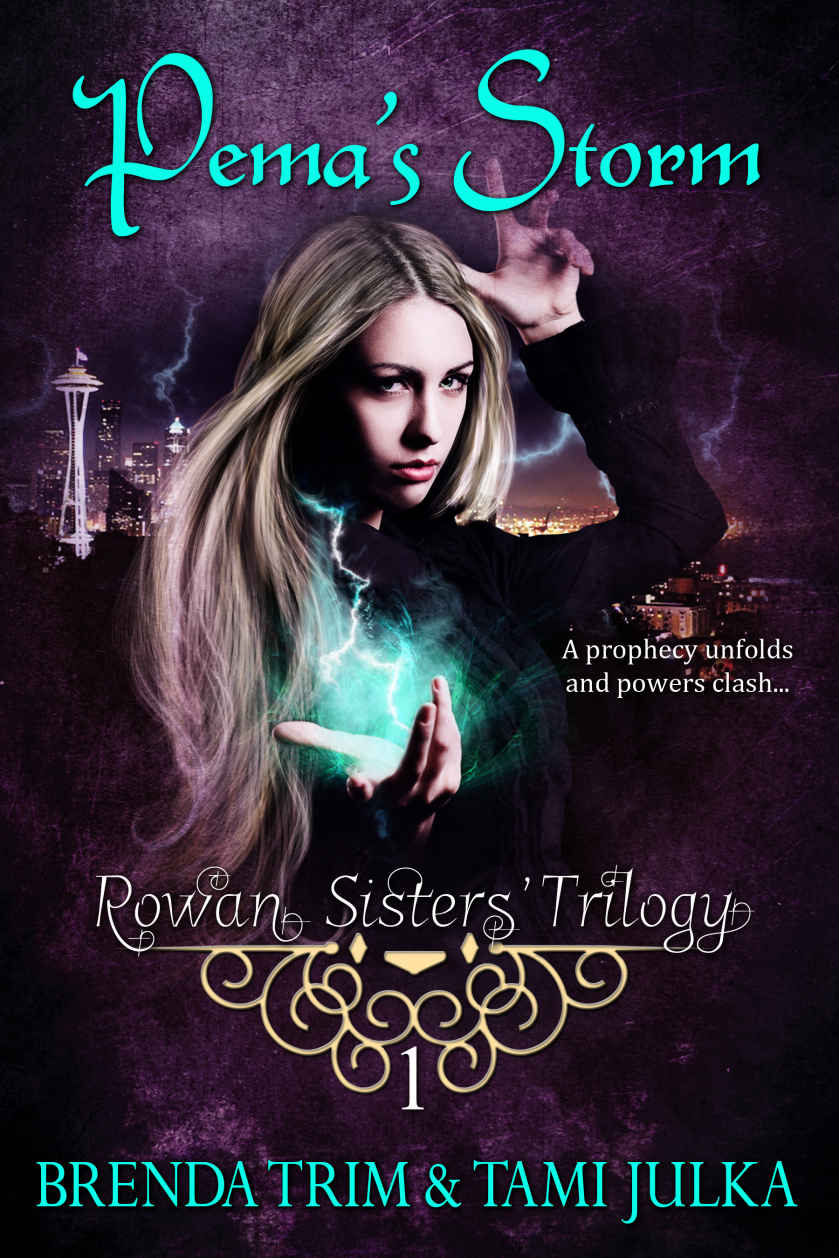 Pema's Storm: Rowan Sisters' Trilogy Book 1 by Brenda Trim