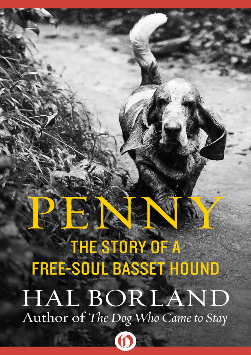 Penny (2016) by Borland, Hal;