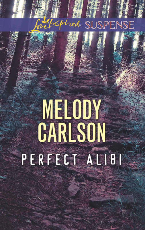 Perfect Alibi (2015) by Melody Carlson