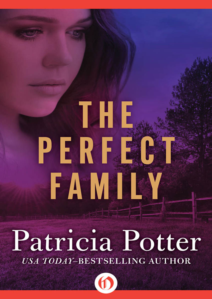 Perfect Family by Potter, Patricia;