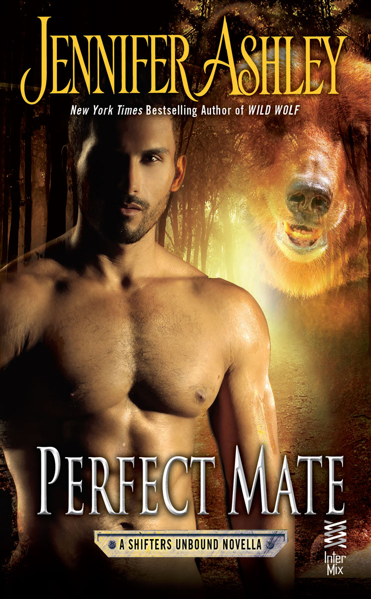 Perfect Mate (2014) by Jennifer Ashley
