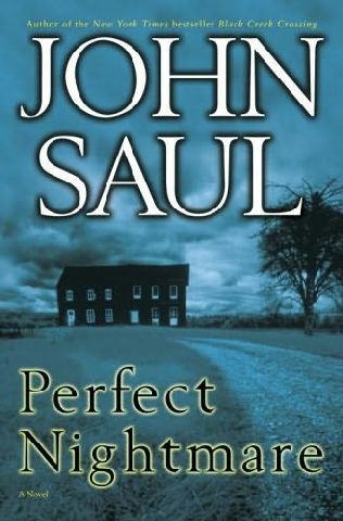 Perfect Nightmare by Saul, John