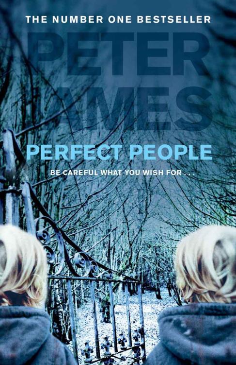 Perfect People by James, Peter