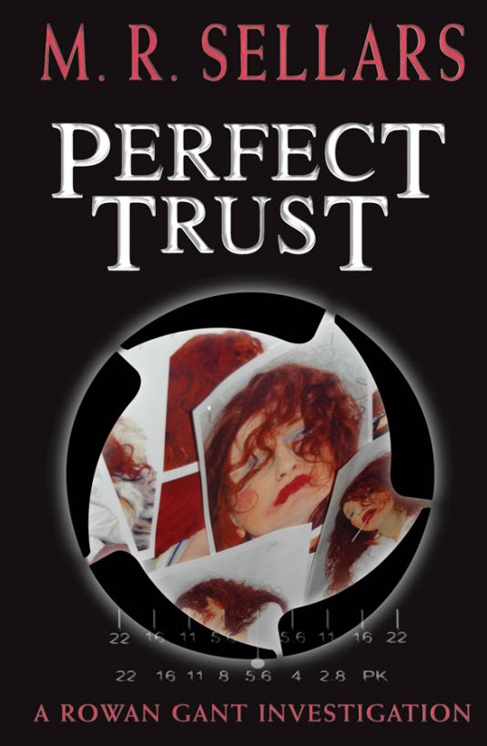 Perfect Trust: A Rowan Gant Investigation