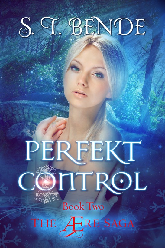Perfekt Control (The Ære Saga Book 2)