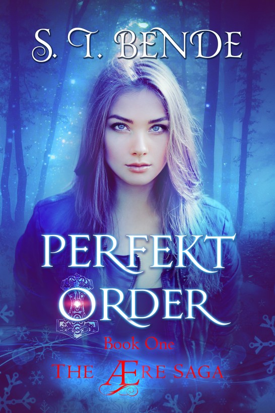 Perfekt Order (The Ære Saga Book 1) by S.T. Bende