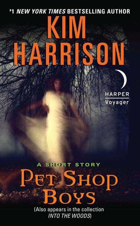 Pet Shop Boys: A Short Story by Harrison, Kim