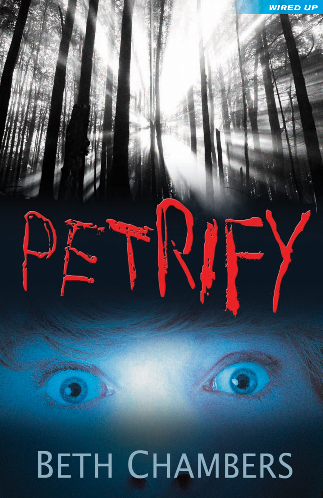 Petrify (2012) by Beth Chambers