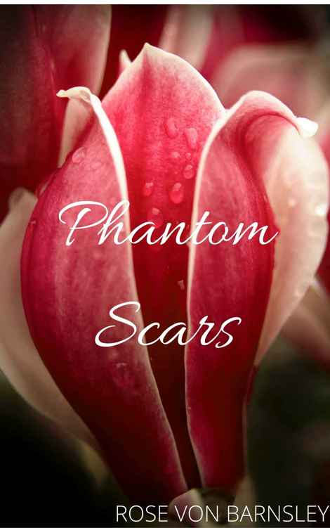 Phantom Scars by Rose von Barnsley