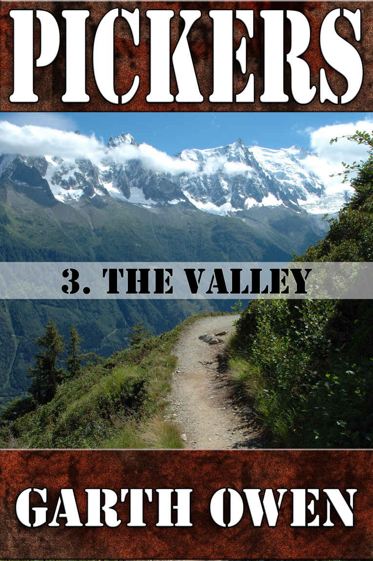 Pickers 3: The Valley by Garth Owen