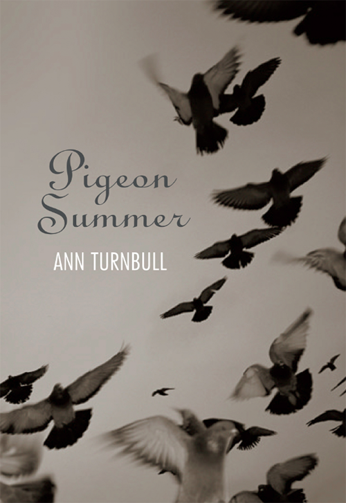 Pigeon Summer (2013) by Ann Turnbull