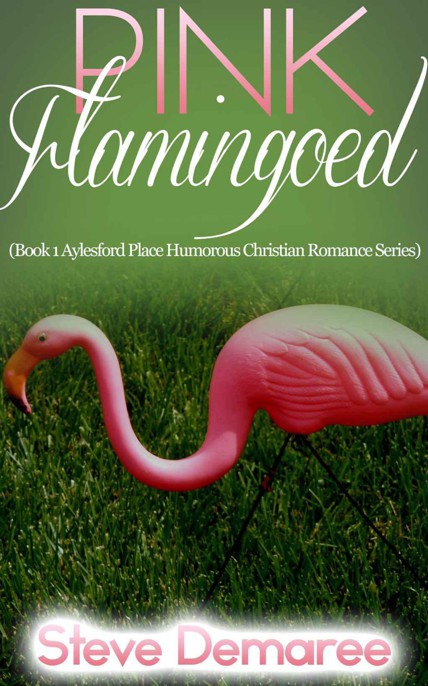 Pink Flamingoed by Steve Demaree