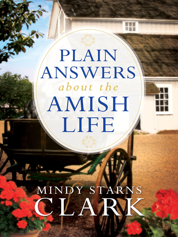 Plain Answers About the Amish Life by Mindy Starns Clark