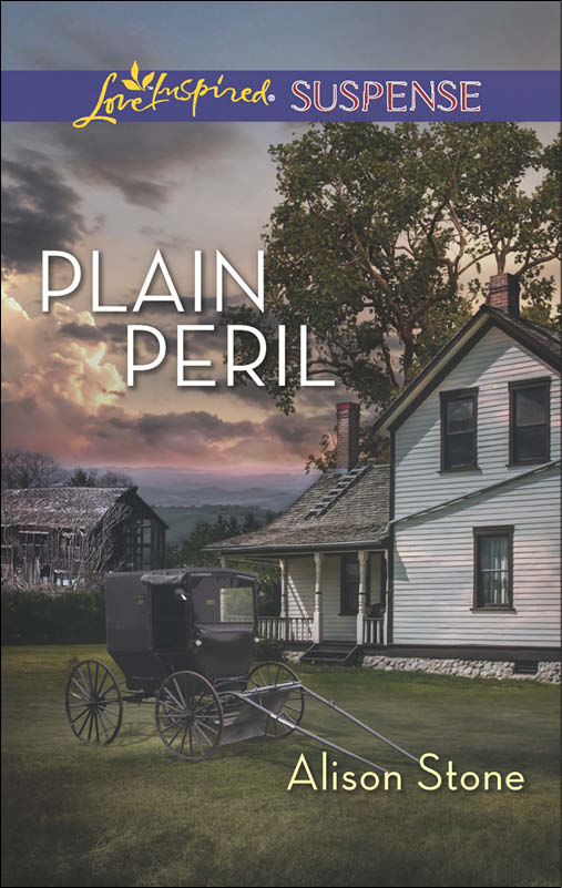 Plain Peril (2014) by Alison Stone